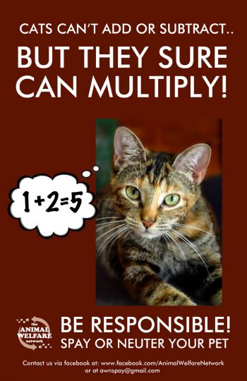 AWN-Cat-Spay-Poster